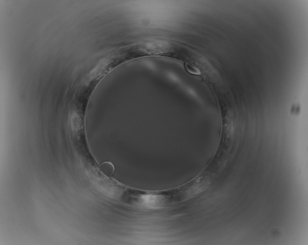 X0000111440371200907131311