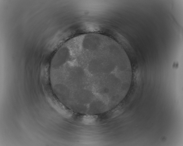 X0000111440373200907131311