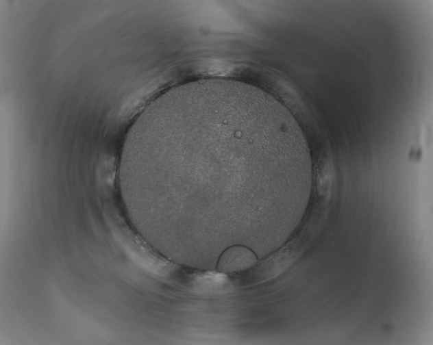 X0000111440374200907131311