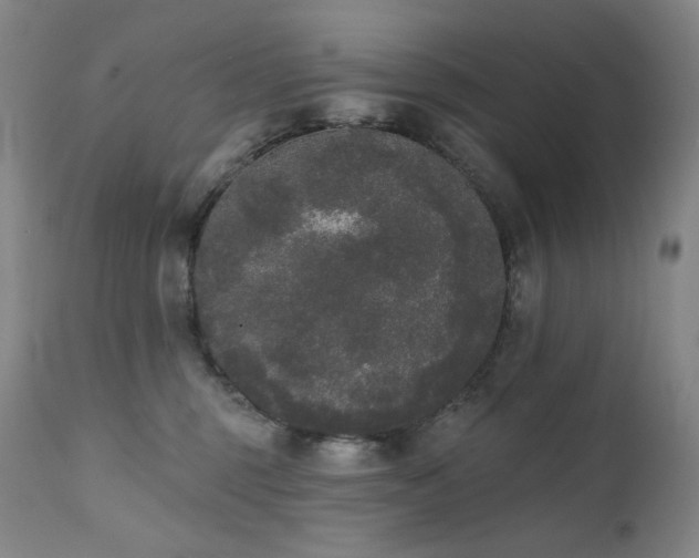 X0000111440375200907131311