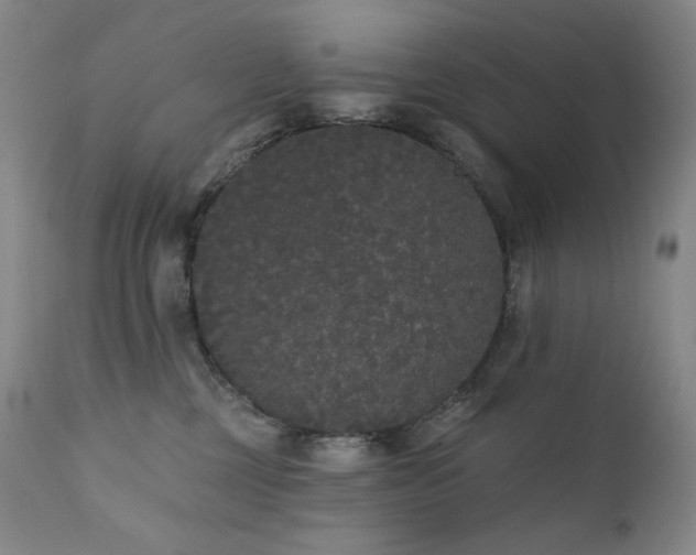 X0000111440377200907131311