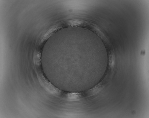 X0000111440378200907131311