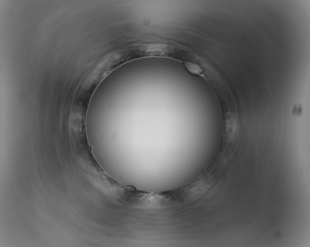 X0000111440379200907131311