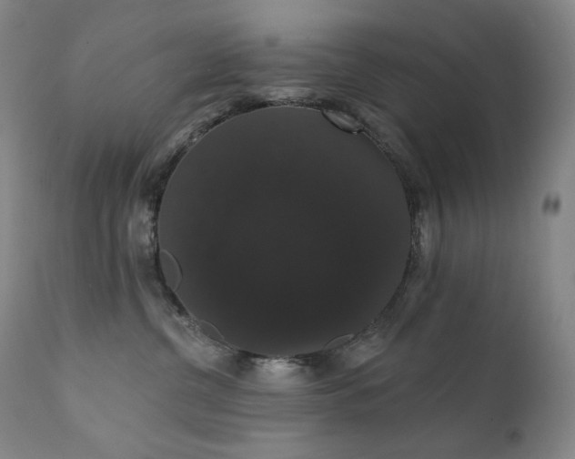 X0000111440380200907131311