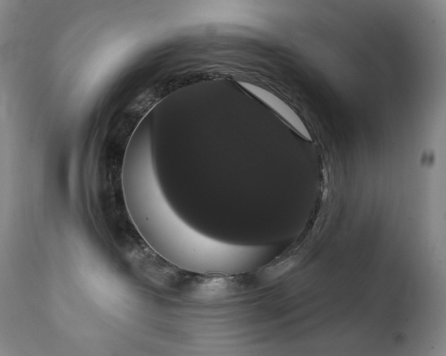 X0000111440382200907131311