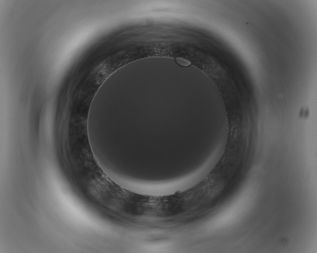 X0000111440383200907131311