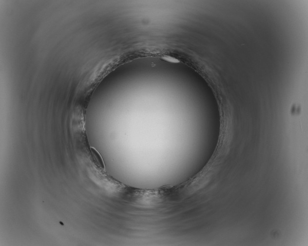 X0000111440384200907131311