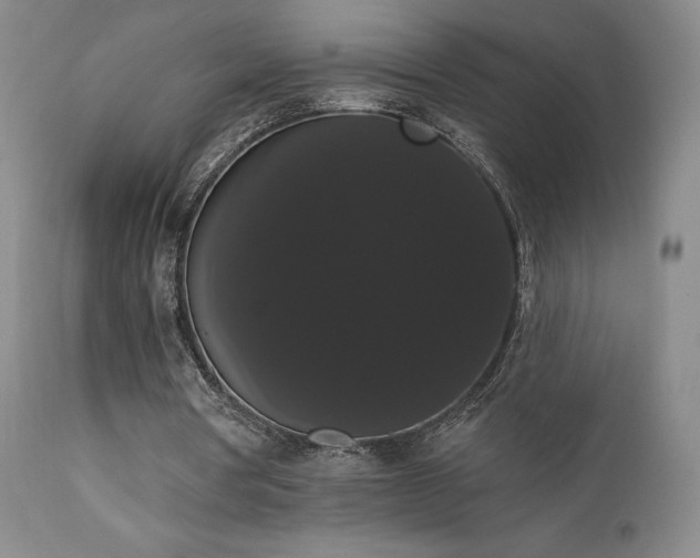 X0000111440386200907131311