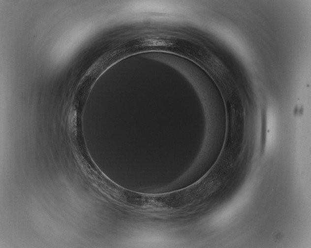 X0000111440387200907131311