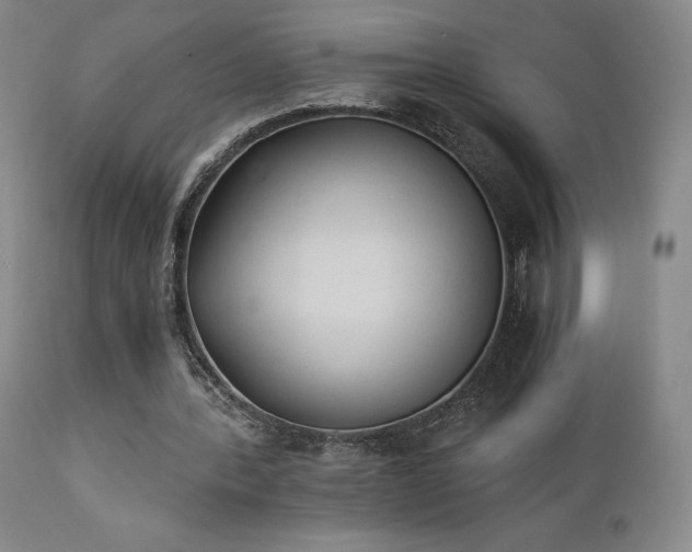 X0000111440388200907131311
