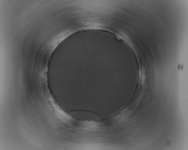 X0000111440389200907131311