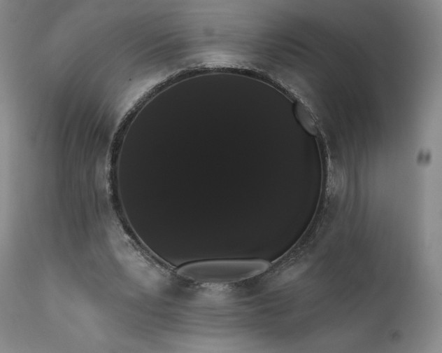 X0000111440391200907131311