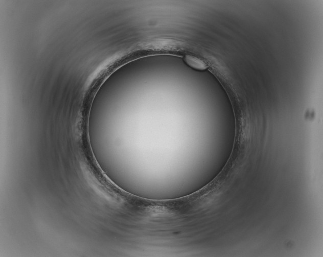X0000111440392200907131310