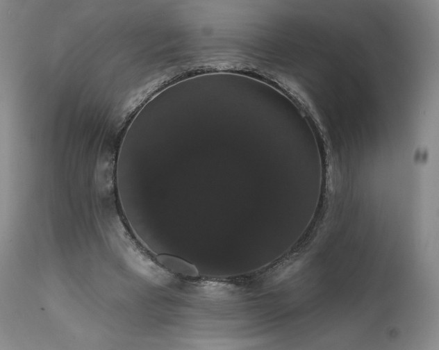 X0000111440393200907131310