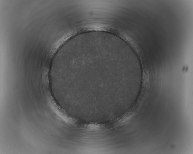 X0000111440394200907131310