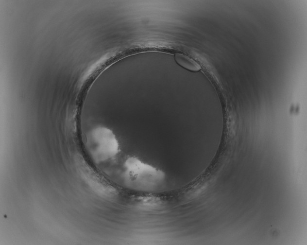 X0000111440395200907131310