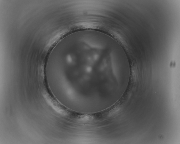 X0000111440398200907131310