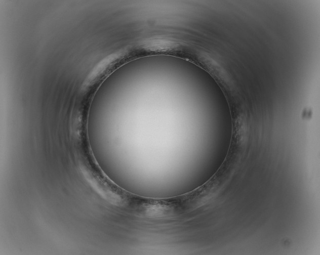 X0000111440400200907131310