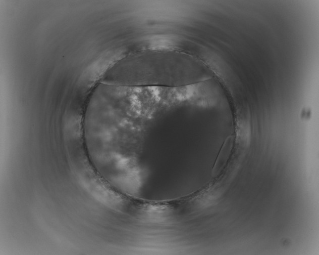 X0000111440401200907131310