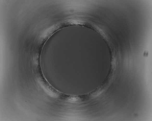 X0000111440402200907131310