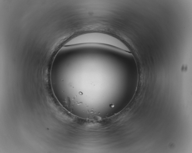X0000111440403200907131310