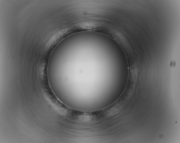 X0000111440404200907131310