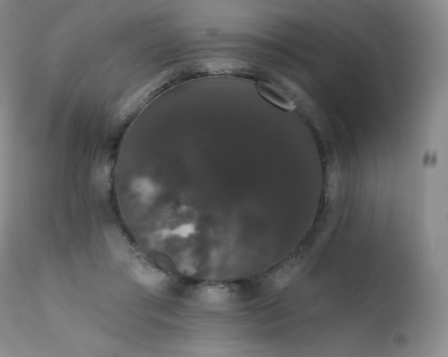 X0000111440405200907131310