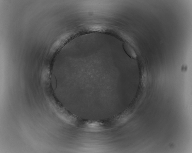 X0000111440407200907131310