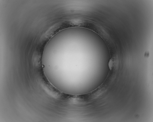 X0000111440408200907131310