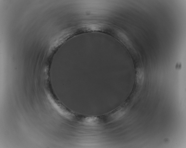 X0000111440410200907131310