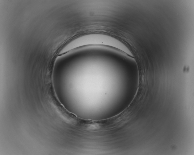 X0000111440411200907131310