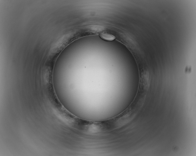 X0000111440412200907131310