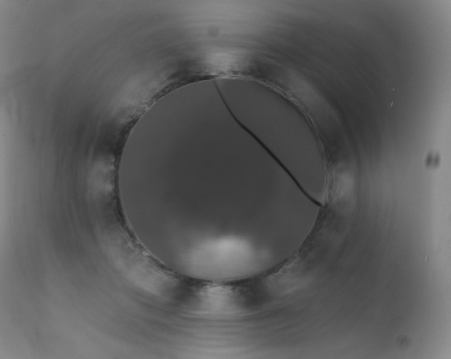 X0000111440413200907131310