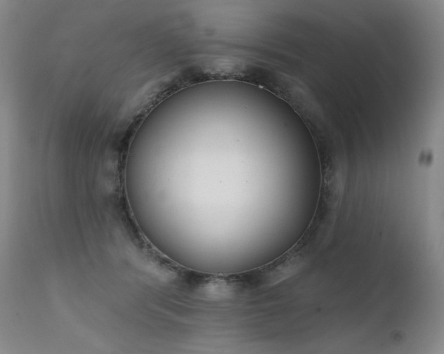 X0000111440416200907131310