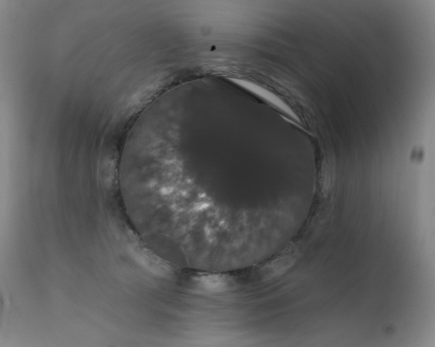 X0000111440417200907131310