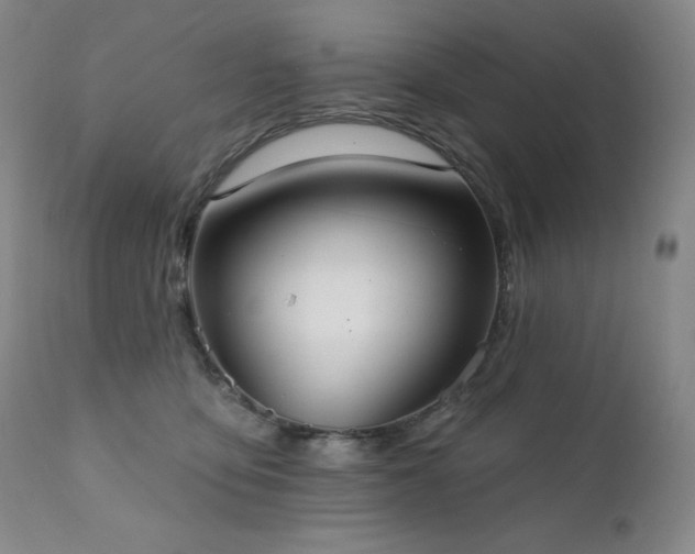 X0000111440419200907131310