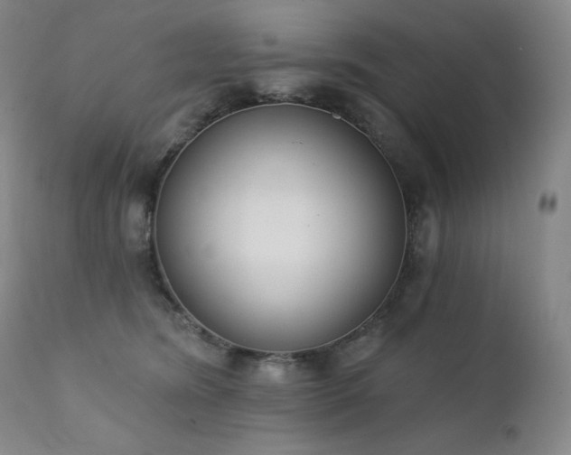 X0000111440420200907131310