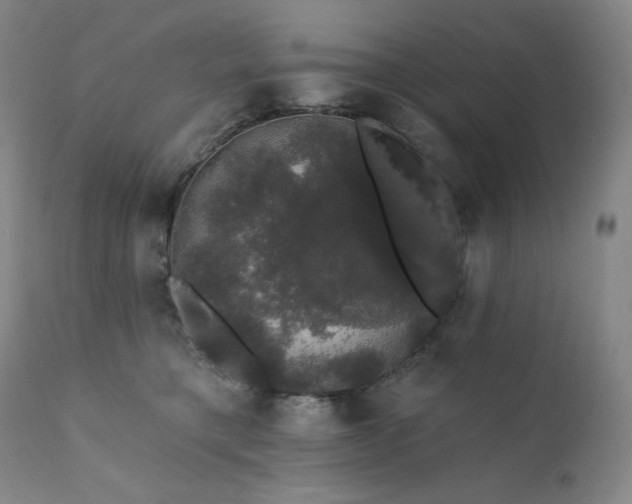 X0000111440421200907131310