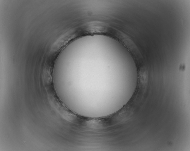 X0000111440422200907131310