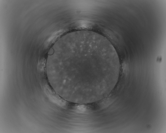 X0000111440423200907131310