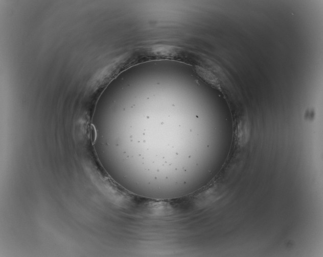 X0000111440424200907131310