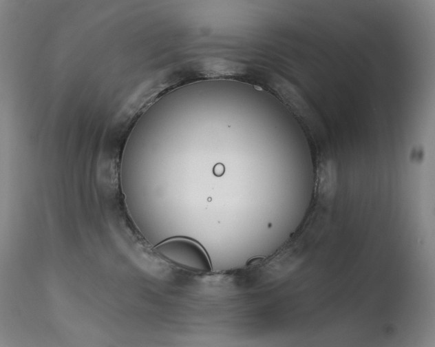 X0000111440426200907131310