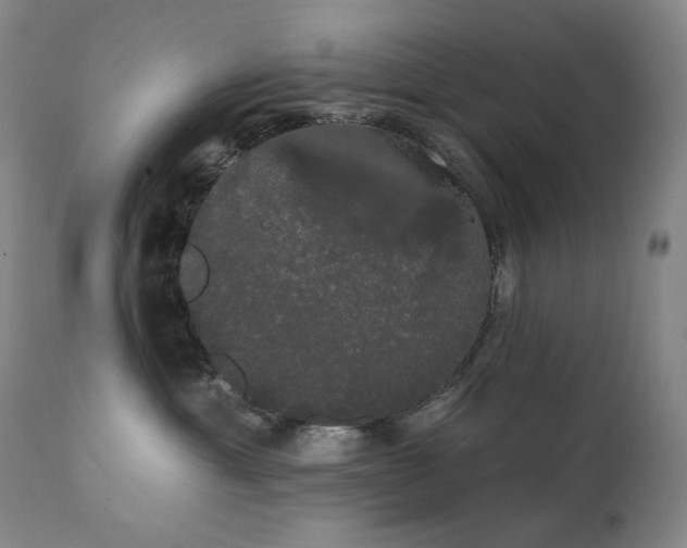 X0000111440429200907131310