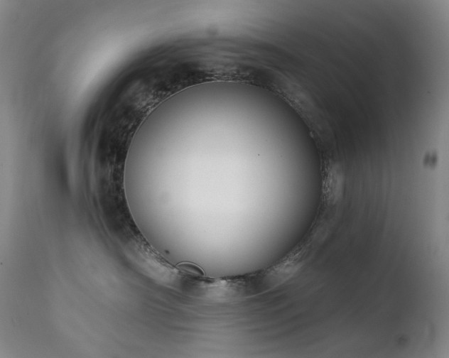 X0000111440430200907131310