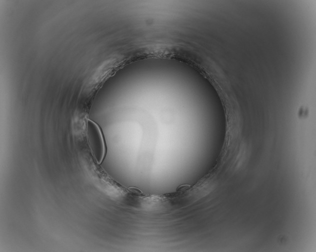 X0000111440432200907131310