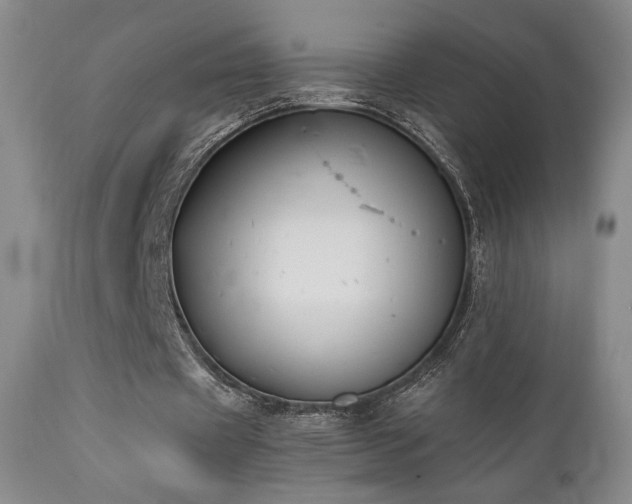 X0000111440433200907131309