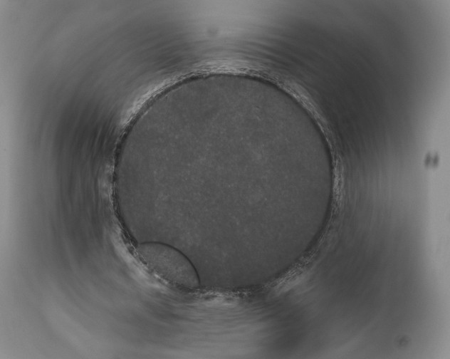 X0000111440434200907131309
