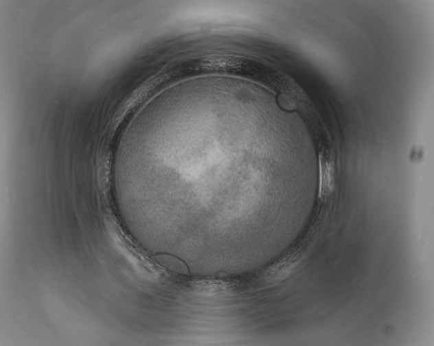 X0000111440435200907131309