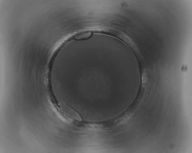 X0000111440436200907131309