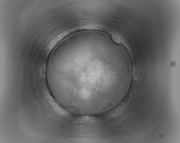 X0000111440437200907131309